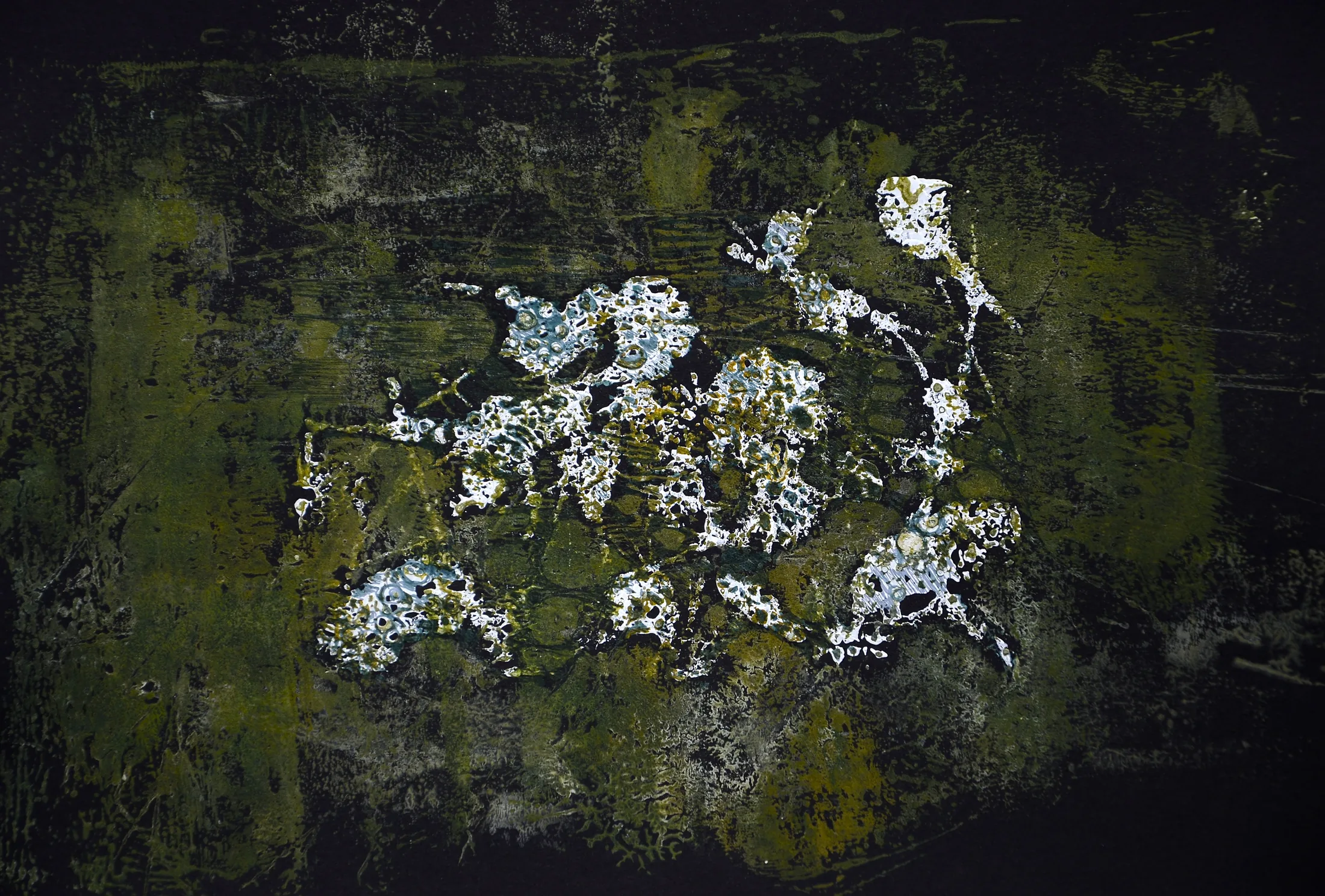 vermoosung,acryl,tusche auf papier,din a 4 ,2015